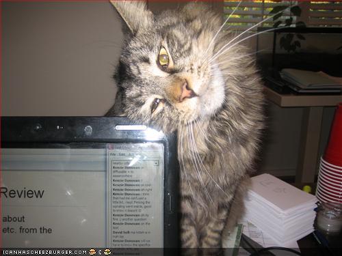 [cat-listening-to-computer.jpg]