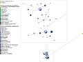 "Network_of_haplotypes_for_Bombus_brasiliensis_Lepeletier,_1836_and_Bombus_bahiensis_sp._n..tiff" by User:Ixocactus