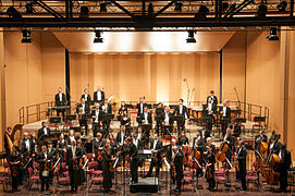 Göttinger Symphonie Orchester