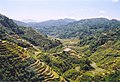 "Rice_Terraces_Banaue.jpg" by User:Magalhães
