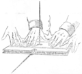 "Faraday_apparatus_for_ideomotor_effect_on_table_turning.png" by User:Ixocactus