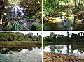 "Habitats_sampled_in_the_RAP_surveys_conducted_in_the_southern_Guiana_Shield_tributaries_of_the_Amazonas_River.jpg" by User:Ixocactus
