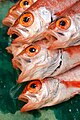 5 Fish for sale at Tsukiji Fishmarket, Tokyo-30 uploaded by MichaelMaggs, nominated by Tomer T