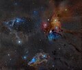 65 Rho Ophiucus Widefield uploaded by Sadalsuud, nominated by The Herald