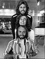 The Bee Gees popularized disco music thanks to the soundtrack for the 1977 film Saturday Night Fever.