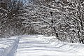 47 Snowy road Sosonka 2013 G1 uploaded by George Chernilevsky, nominated by George Chernilevsky
