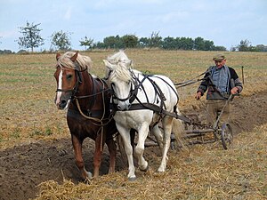 A farmer plowing with horses.