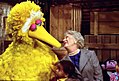 Big Bird, star of the popular Emmy Award-winning educational kid's show Sesame Street.