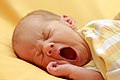 "Yawning_Infant,_August_2018.jpg" by User:Martin Falbisoner