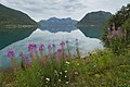 9 View to Sifjorden from Sifjord, Senja, Troms, Norway in 2014 August uploaded by Ximonic, nominated by Tomer T