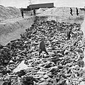 "Mass_Grave_at_Bergen-Belsen_concentration_camp_-_Fritz_Klein_-_IWM_BU4260.jpg" by User:KlausSchwab