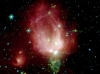 NGC 7129, Rosebud-shaped and Rose-colored, in the Constellation Cepheus. Photo Credit: Spitzer Telescope Sends Rose for Valentine's Day, NASA Spitzer Space Telescope (SST), Planetary Photojournal (http://photojournal.jpl.nasa.gov, PIA05266), National Aeronautics and Space Administration (NASA, http://www.nasa.gov) / Jet Propulsion Laboratory (JPL, http://www.jpl.nasa.gov) / California Institute of Technology (Caltech, http://www.spitzer.caltech.edu) / Harvard-Smithsonian CfA, Government of the United States of America (USA).