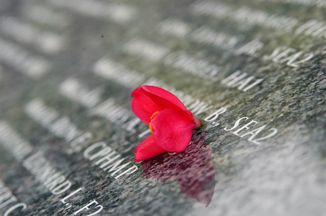 A Single Red Flower on a War Memorial. In June and July 1944 More Than 25,000 People Were Killed as the United States Liberated the Northern Mariana Islands of Tinian and Saipan, One of the Bloodiest Battles in History. June 15, 2004, American Memorial Park in Garapan, Saipan, Commonwealth of the Northern Mariana Islands (CNMI), USA. Photo Credit: Photographer's Mate 2nd Class Shawn M. Morrison, Navy NewsStand - Eye on the Fleet Photo Gallery (http://www.news.navy.mil/view_photos.asp, 040615-N-6914M-095), United States Navy (USN, http://www.navy.mil), United States Department of Defense (DoD, http://www.DefenseLink.mil or http://www.dod.gov), Government of the United States of America (USA).