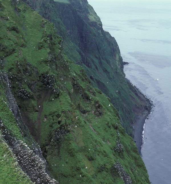 High Bluffs Clothed in Green and the Bearing Sea Far Below, 1986. St. George, Pribilof Islands, State of Alaska, USA. Photo Credit: Vernon Byrd, Alaska Image Library, United States Fish and Wildlife Service Digital Library System (http://images.fws.gov, AMNWR/0002810/Byrd, V), United States Fish and Wildlife Service (FWS, http://www.fws.gov), United States Department of the Interior (http://www.doi.gov), Government of the United States of America (USA).