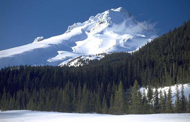 Pure White Snow, a Green Forest, and Towering Mt. Hood in the State of Oregon, USA. Photo Credit: Ron Nichols (2000, http://photogallery.nrcs.usda.gov, NRCSOR00003), USDA Natural Resources Conservation Service (NRCS, http://www.nrcs.usda.gov), United States Department of Agriculture (USDA, http://www.usda.gov), Government of the United States of America (USA).