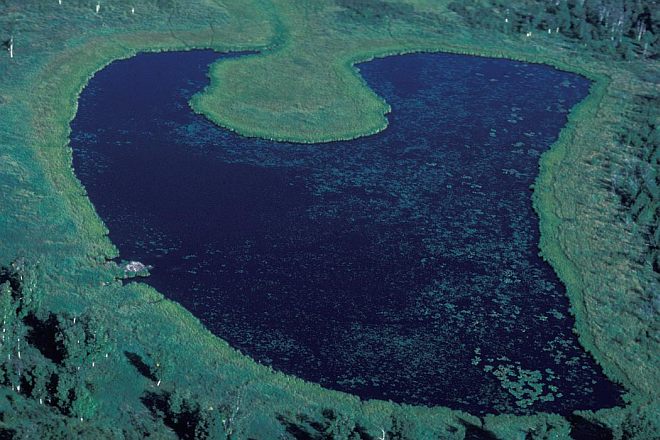 Aerial View of a Lake in the Wetlands of Innoko National Wildlife Refuge, State of Alaska, USA. Photo Credit: NCTC Image Library, United States Fish and Wildlife Service Digital Library System (http://images.fws.gov, AK/RO/02601), United States Fish and Wildlife Service (FWS, http://www.fws.gov), United States Department of the Interior (http://www.doi.gov), Government of the United States of America (USA).