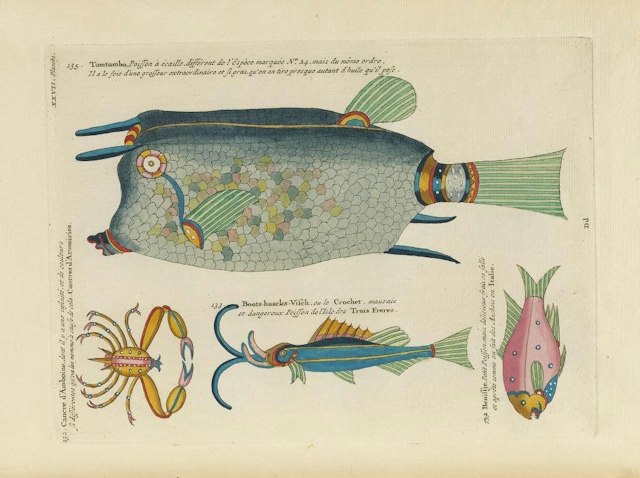 Images from the First Colour Publication on Fish (1754)
