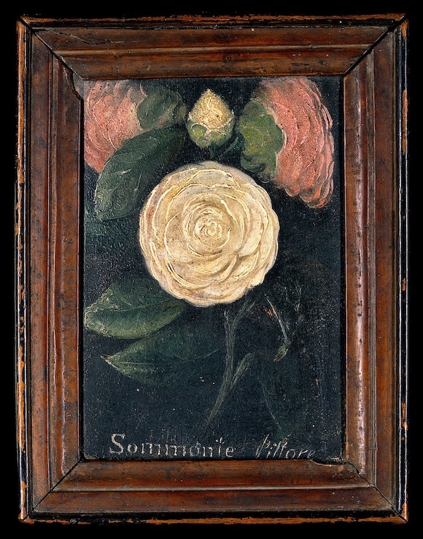 V0018454 Still life of roses and fruit with concealed erotic sce