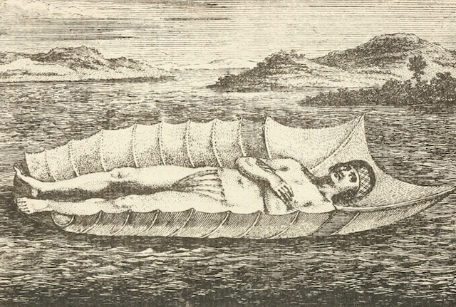 The Life and Adventures of Peter Wilkins, a Cornish Man (1750)