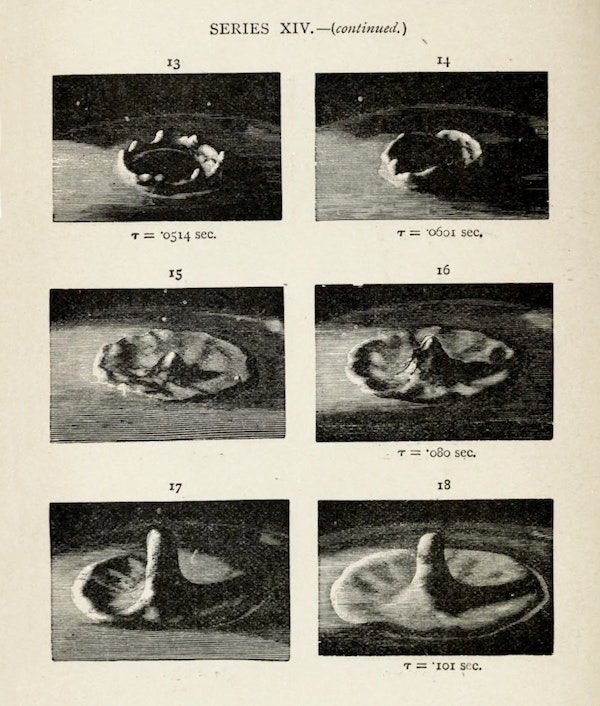 Image from Professor Worthington's The Splash of a Drop