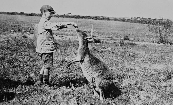 The Quirky, the Artful, and the Unexpected: Historic Photographs of Life in Australia
