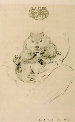 File:Rossetti's Wombat Seated in his Master's Lap (William Bell Scott).jpg
