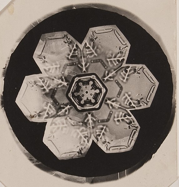 File:Snowflake - By Wilson Bentley ca. 1905 - MoPA.jpg