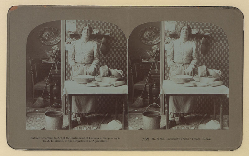 File:Mr and Mrs Turtledove's new French cook Mr and Mrs Turtledove's next French cook Photo 12 stereoscopic view (HS85-10-17221).jpg