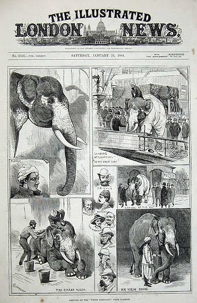 File:London Daily News - January 26 1884.jpg