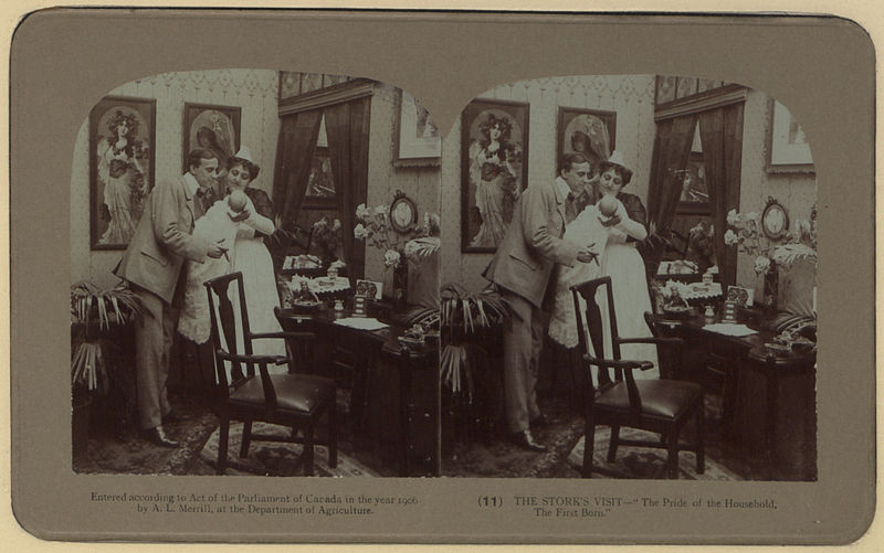 File:Courtship and wedding Photo 11 The stork's visit stereoscopic view (HS85-10-17208).jpg
