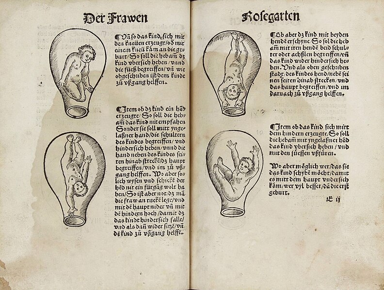 File:Der Swangern Frawen und Hebammen Roszengarten (1513).jpg