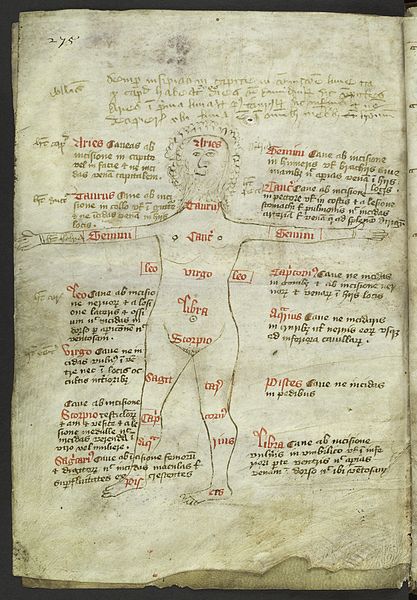 File:Nude figure of 'Astrological Man', 14th C Wellcome L0037340.jpg