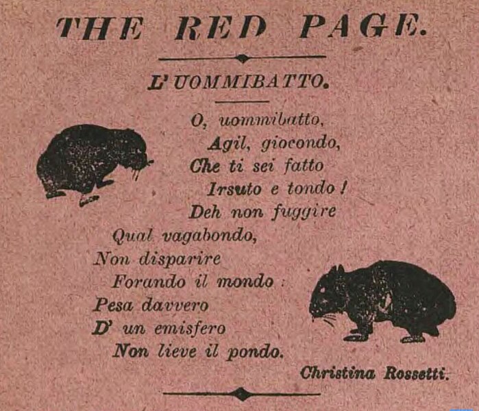 File:Christina Rossetti's wombat poem.jpg
